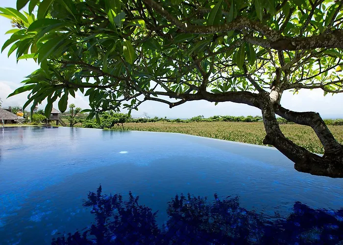 Sanur Residence ヴィラ サヌール