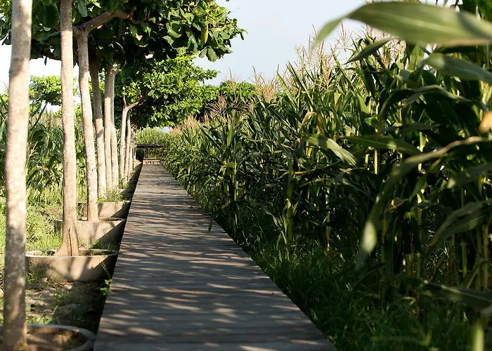 Sanur Residence ヴィラ *